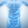 iStock_000019075767XSmall