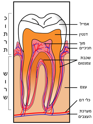 מאמר